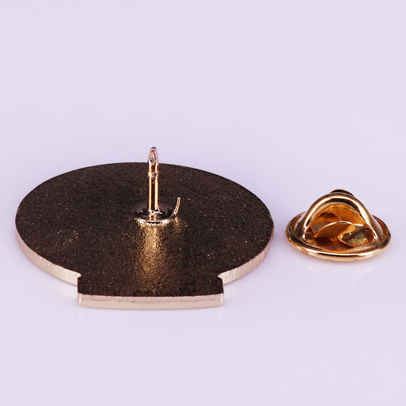 Dungeons & Dragons Paladin Pin
