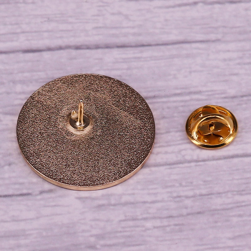 "A Grain Of Dust Suspended In Sunlight" Circle Pin