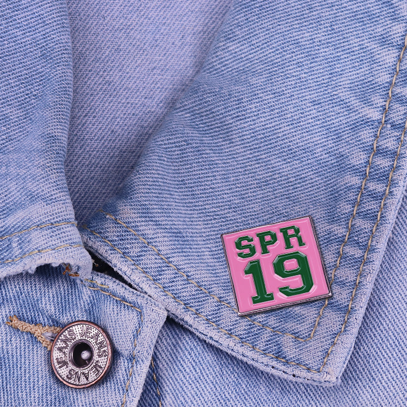 Delta Sigma Theta Sorority Members Pin