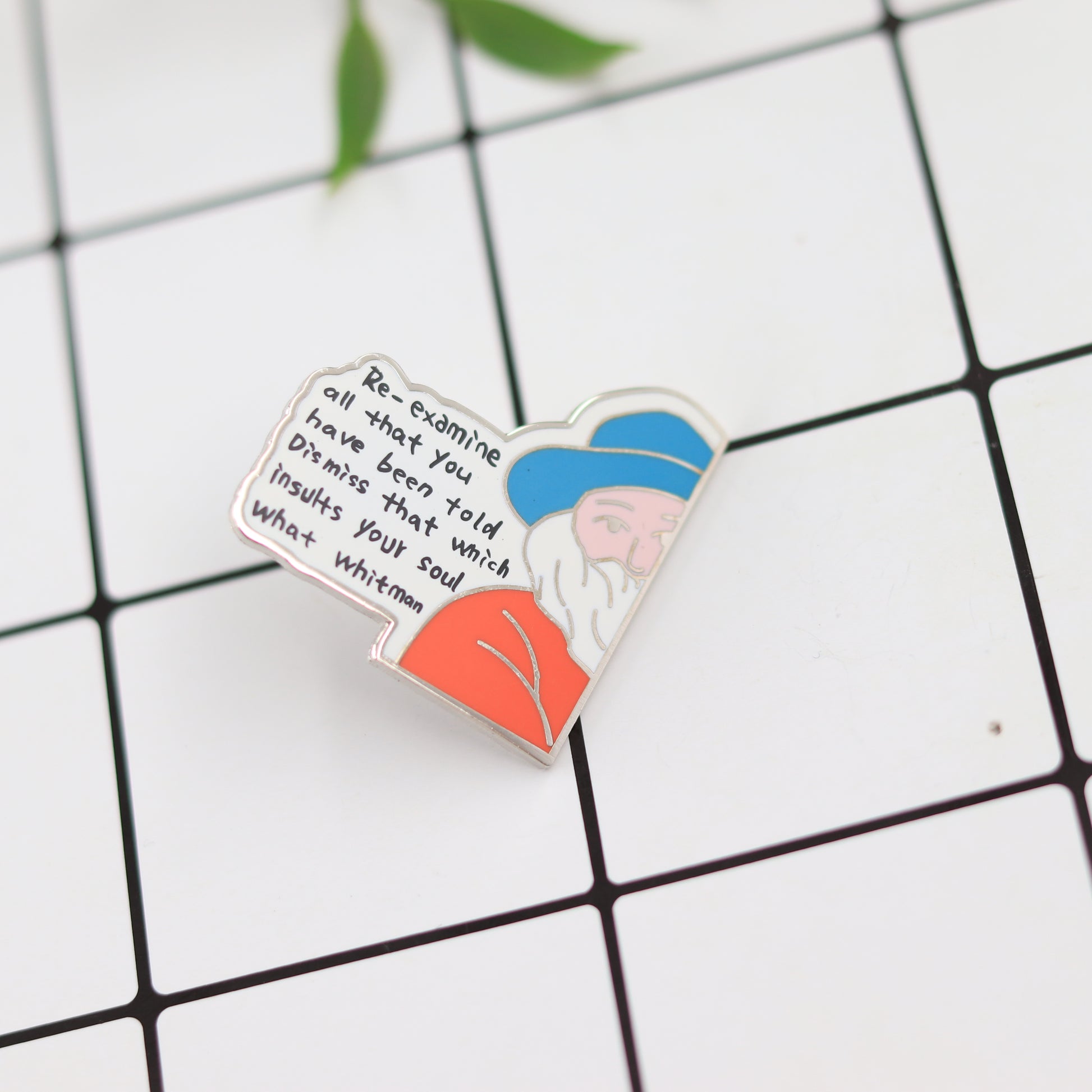 Re-Examine Everything You Hear, Discard What Insults Your Soul Pin
