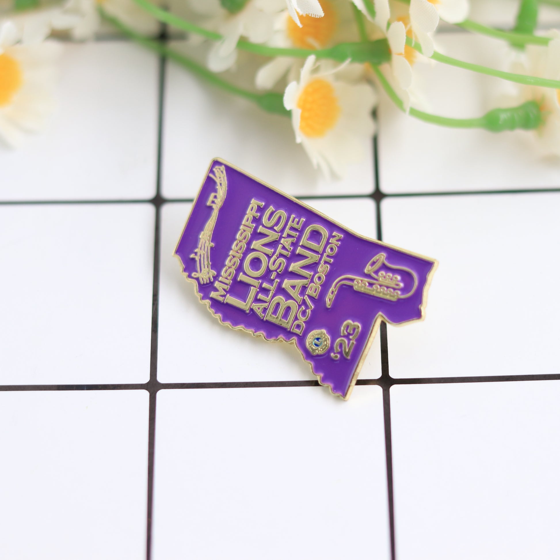 Mississippi Lions Pin