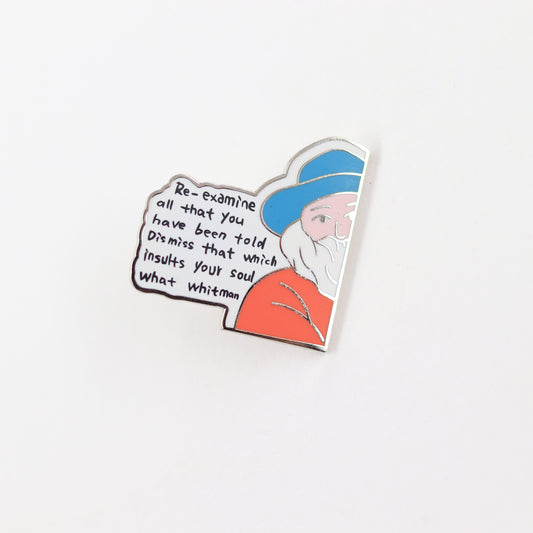 Re-Examine Everything You Hear, Discard What Insults Your Soul Pin