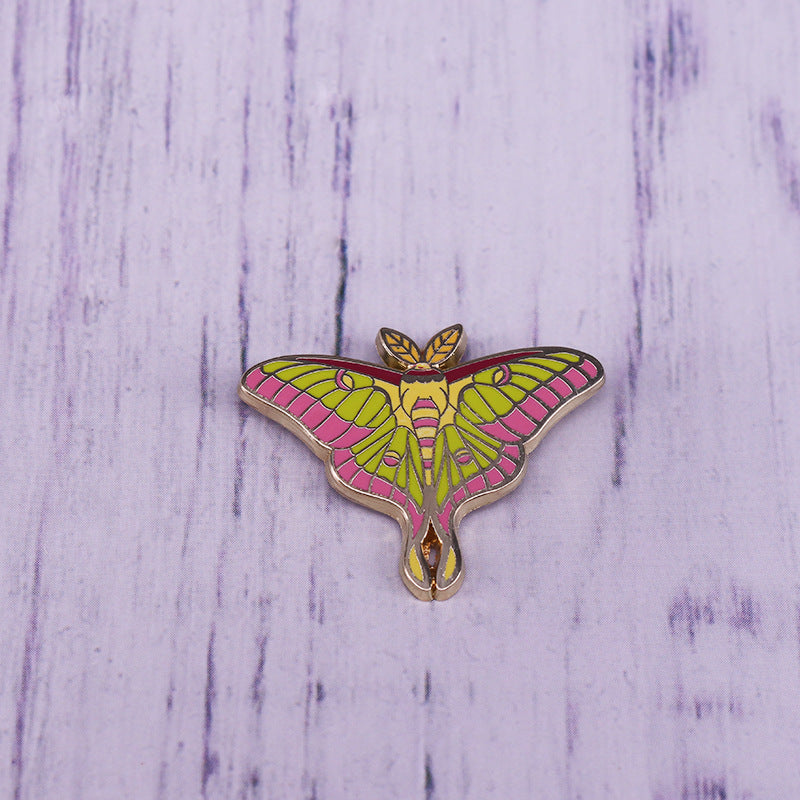 Beautiful Moth Insect Pin