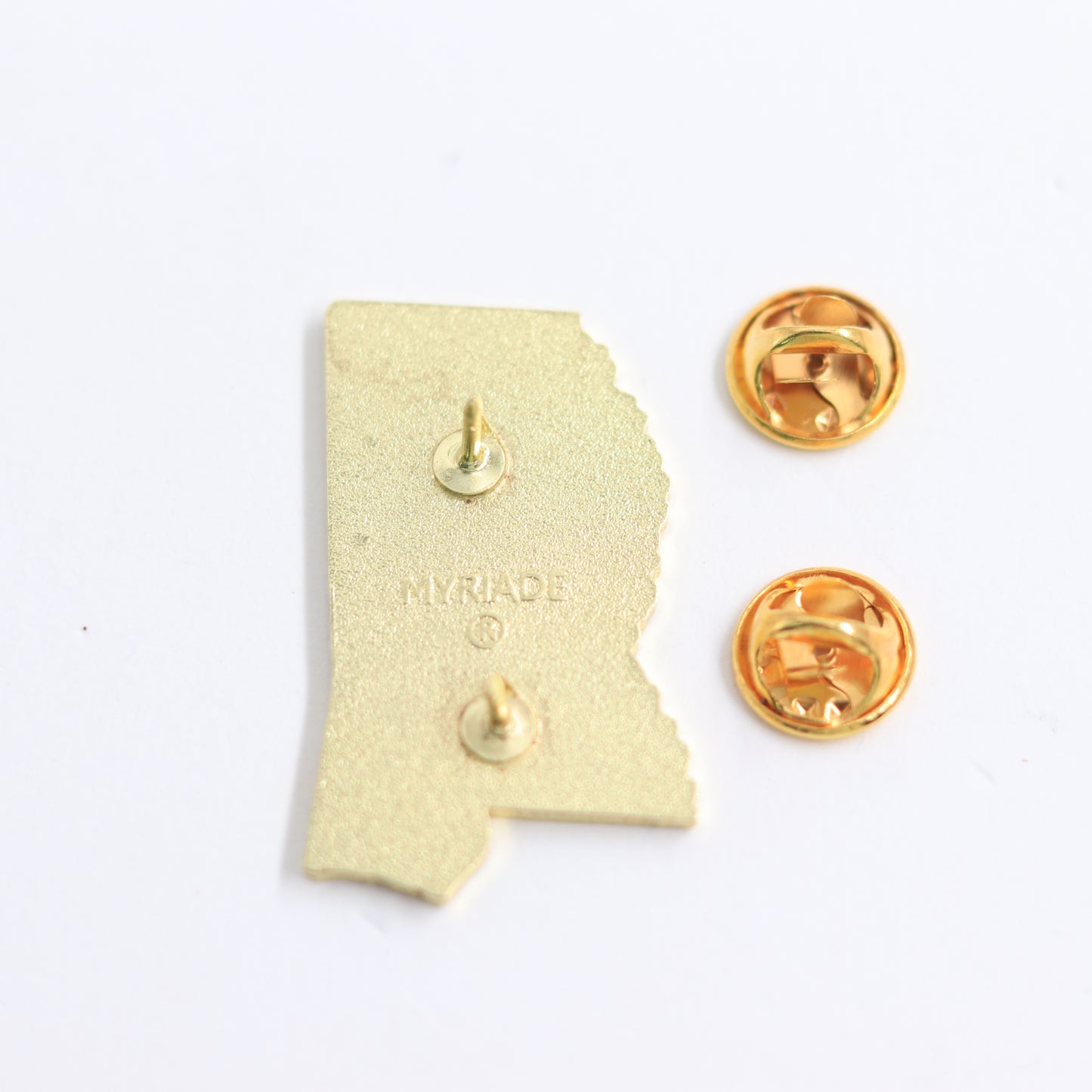 Mississippi Lions Pin