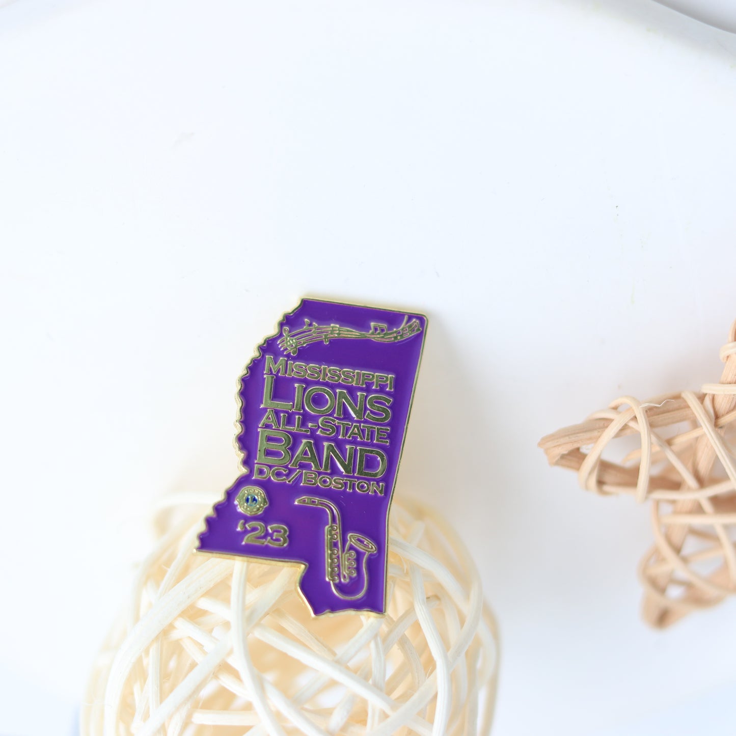 Mississippi Lions Pin