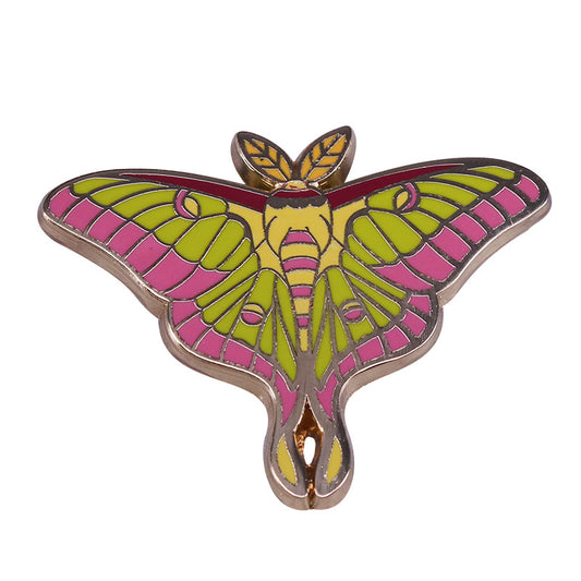 Beautiful Moth Insect Pin