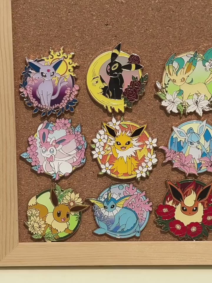 video of Pokémon Eevee Pocket Monsters Pin